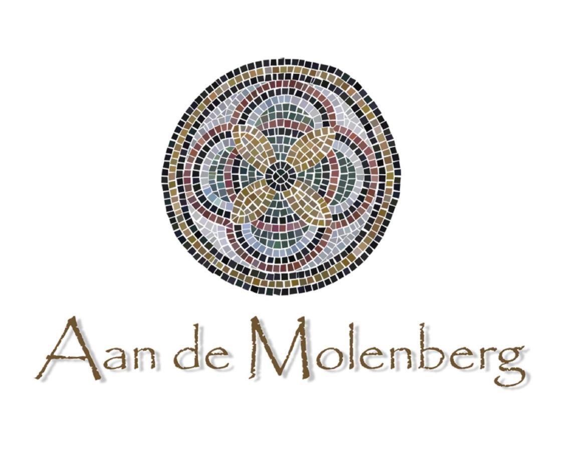 브로크후이젠 Aan De Molenberg B&B 외부 사진